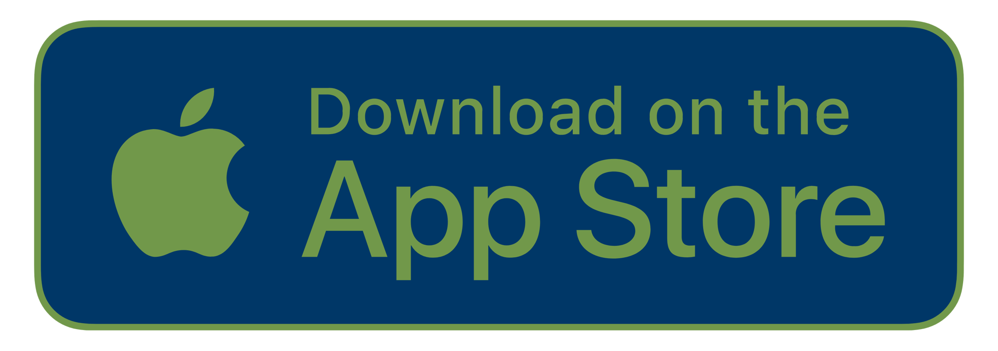 Apple App Store